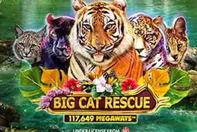 Big Cat Rescue Megaways